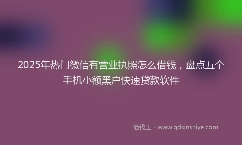 2025年热门微信有营业执照怎么借钱，盘点五个手机小额黑户快速贷款软件