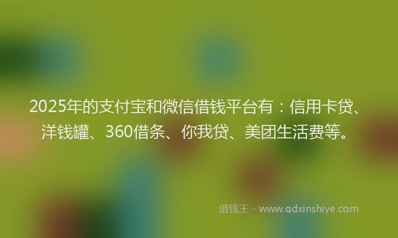 2025年的支付宝和微信借钱平台有：信用卡贷、洋钱罐、360借条、你我贷、美团生活费等。