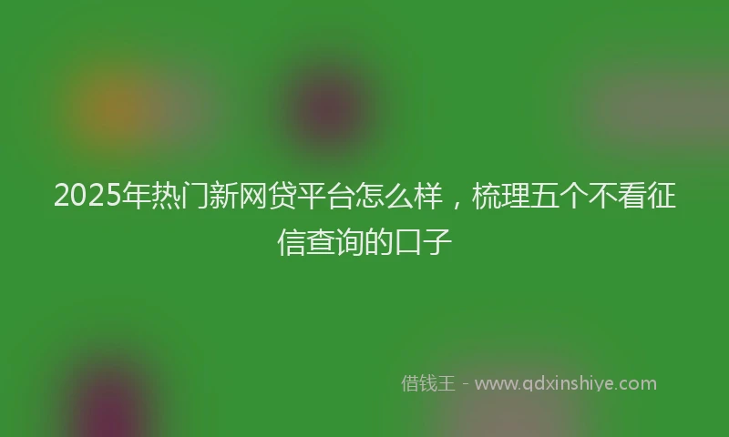 2025年热门新网贷平台怎么样，梳理五个不看征信查询的口子