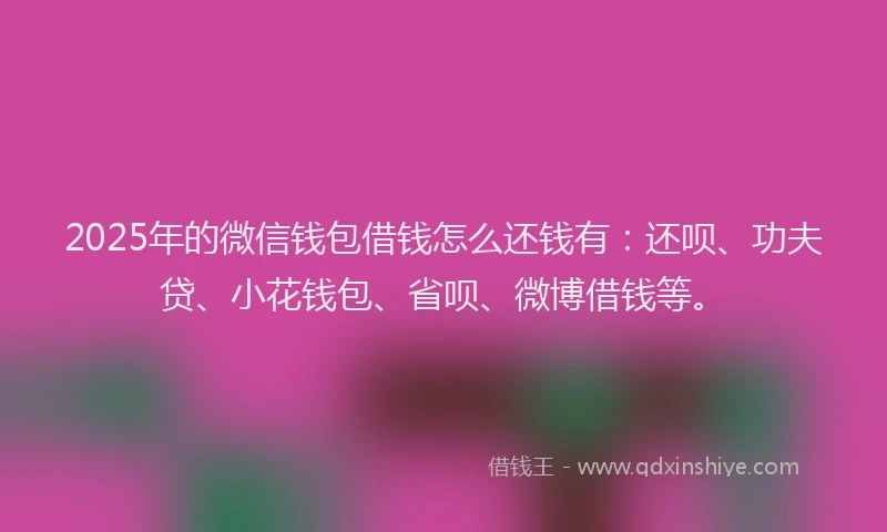 2025年的微信钱包借钱怎么还钱有：还呗、功夫贷、小花钱包、省呗、微博借钱等。