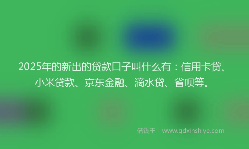 2025年的新出的贷款口子叫什么有：信用卡贷、小米贷款、京东金融、滴水贷、省呗等。