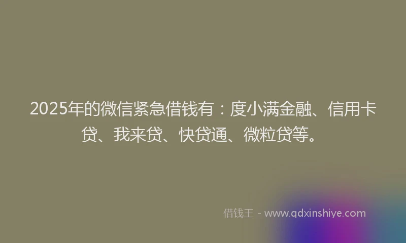 2025年的微信紧急借钱有：度小满金融、信用卡贷、我来贷、快贷通、微粒贷等。