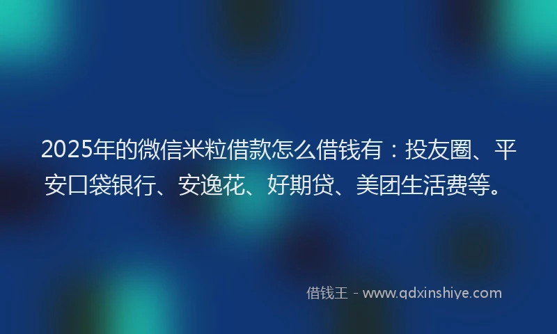 2025年的微信米粒借款怎么借钱有：投友圈、平安口袋银行、安逸花、好期贷、美团生活费等。