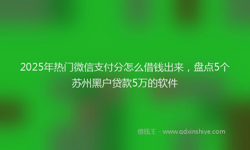 2025年热门微信支付分怎么借钱出来，盘点5个苏州黑户贷款5万的软件