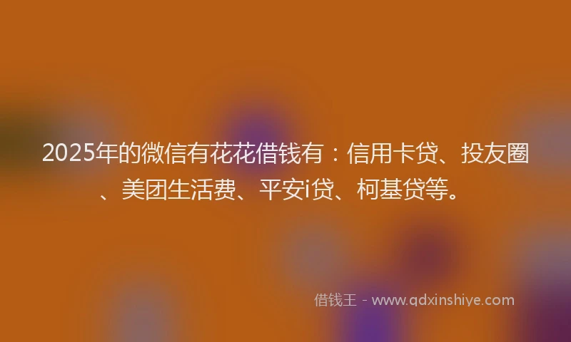 2025年的微信有花花借钱有：信用卡贷、投友圈、美团生活费、平安i贷、柯基贷等。