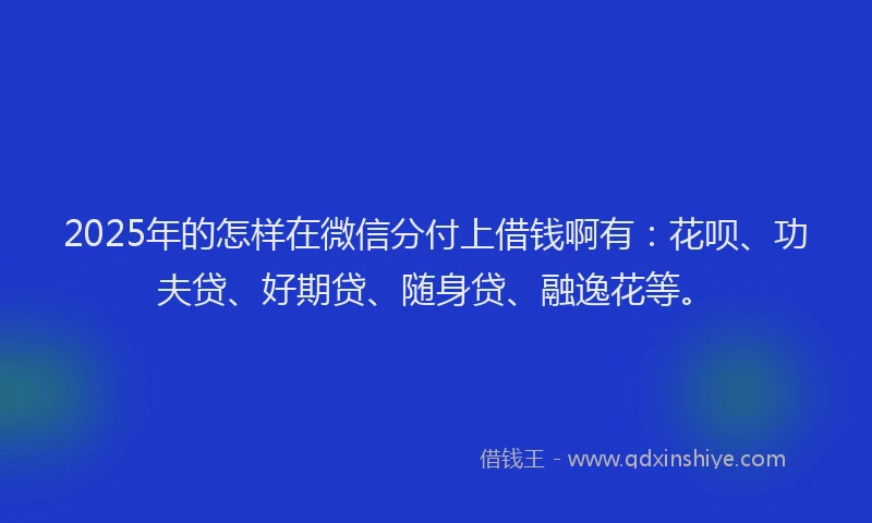 2025年的怎样在微信分付上借钱啊有：花呗、功夫贷、好期贷、随身贷、融逸花等。