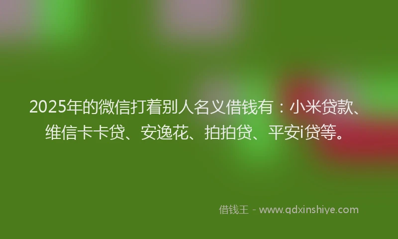 2025年的微信打着别人名义借钱有：小米贷款、维信卡卡贷、安逸花、拍拍贷、平安i贷等。