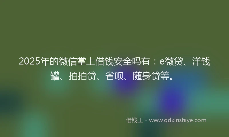 2025年的微信掌上借钱安全吗有：e微贷、洋钱罐、拍拍贷、省呗、随身贷等。