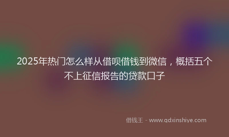 2025年热门怎么样从借呗借钱到微信，概括五个不上征信报告的贷款口子