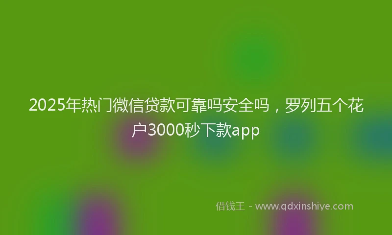 2025年热门微信贷款可靠吗安全吗，罗列五个花户3000秒下款app