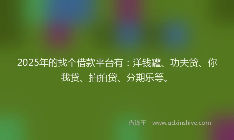 2025年的找个借款平台有：洋钱罐、功夫贷、你我贷、拍拍贷、分期乐等。