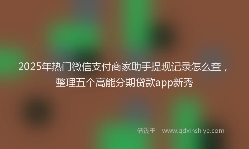 2025年热门微信支付商家助手提现记录怎么查，整理五个高能分期贷款app新秀