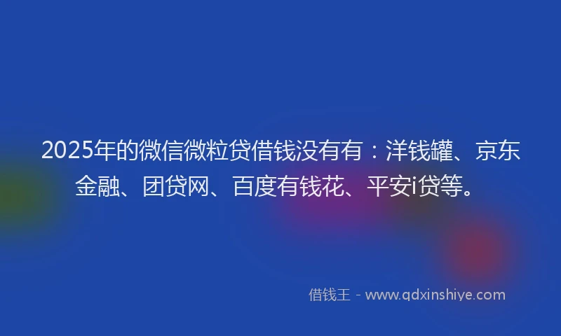 2025年的微信微粒贷借钱没有有：洋钱罐、京东金融、团贷网、百度有钱花、平安i贷等。