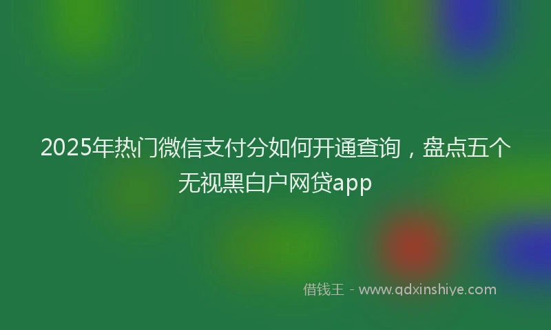 2025年热门微信支付分如何开通查询，盘点五个无视黑白户网贷app