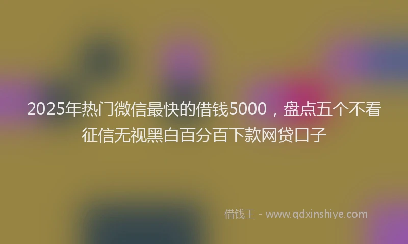 2025年热门微信最快的借钱5000，盘点五个不看征信无视黑白百分百下款网贷口子