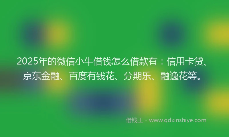 2025年的微信小牛借钱怎么借款有：信用卡贷、京东金融、百度有钱花、分期乐、融逸花等。