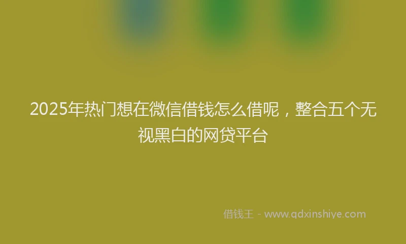 2025年热门想在微信借钱怎么借呢，整合五个无视黑白的网贷平台