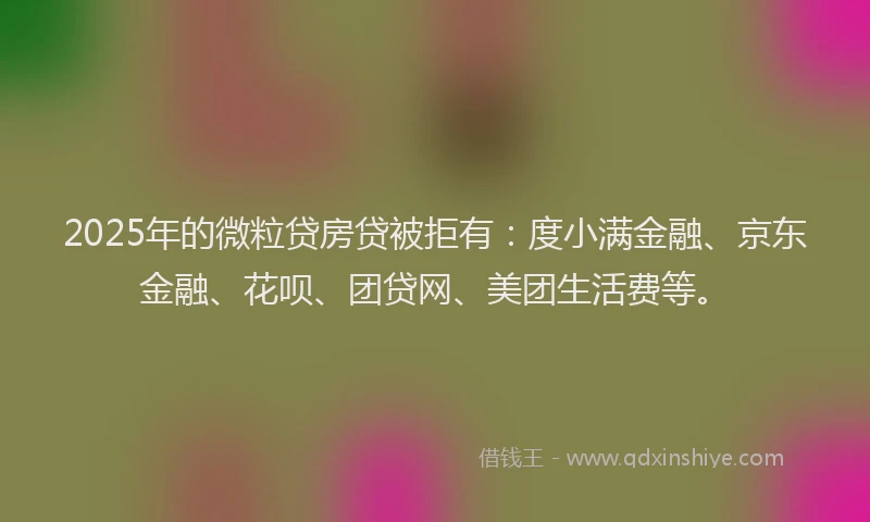 2025年的微粒贷房贷被拒有：度小满金融、京东金融、花呗、团贷网、美团生活费等。