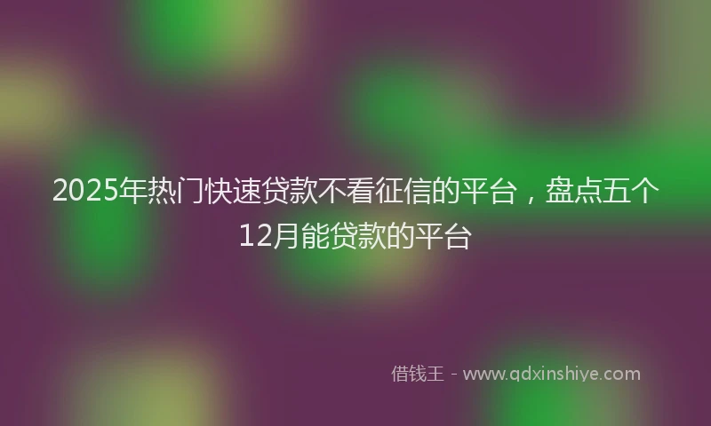 2025年热门快速贷款不看征信的平台，盘点五个12月能贷款的平台