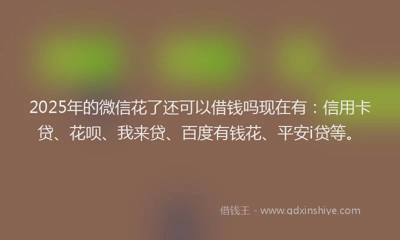 2025年的微信花了还可以借钱吗现在有：信用卡贷、花呗、我来贷、百度有钱花、平安i贷等。