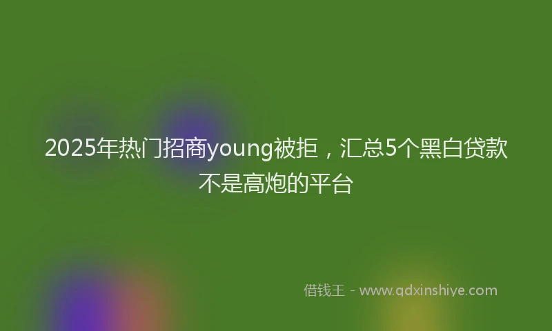 2025年热门招商young被拒，汇总5个黑白贷款不是高炮的平台
