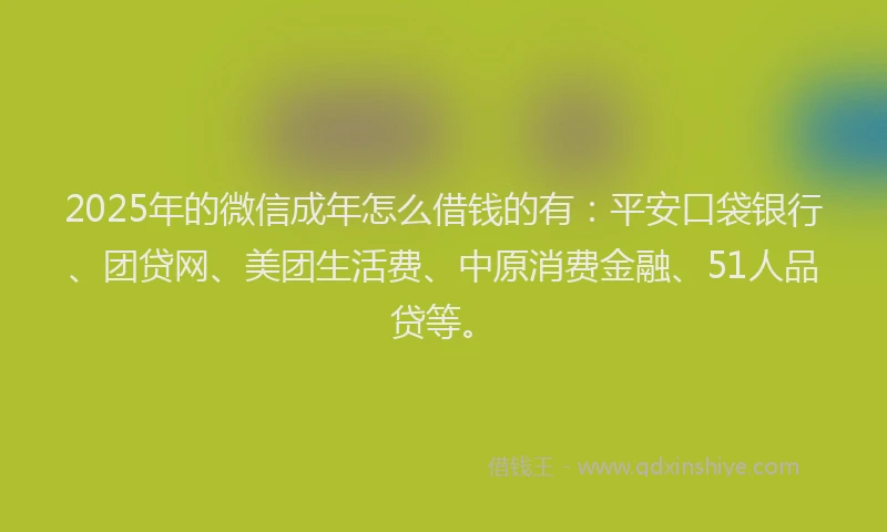 2025年的微信成年怎么借钱的有：平安口袋银行、团贷网、美团生活费、中原消费金融、51人品贷等。