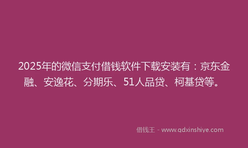 2025年的微信支付借钱软件下载安装有：京东金融、安逸花、分期乐、51人品贷、柯基贷等。