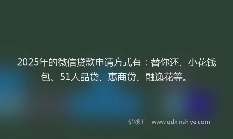 2025年的微信贷款申请方式有：替你还、小花钱包、51人品贷、惠商贷、融逸花等。