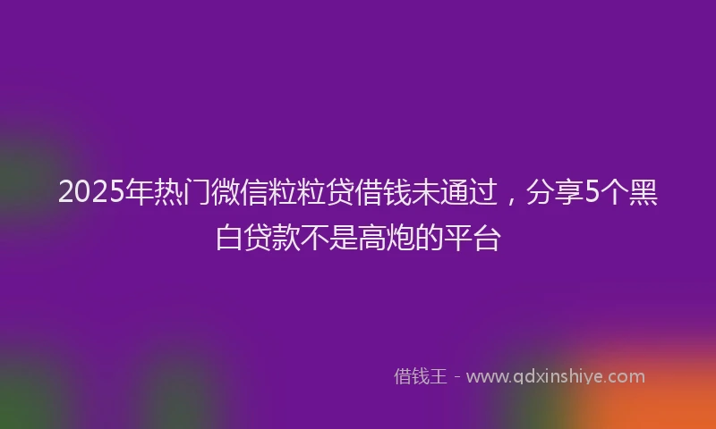 2025年热门微信粒粒贷借钱未通过，分享5个黑白贷款不是高炮的平台