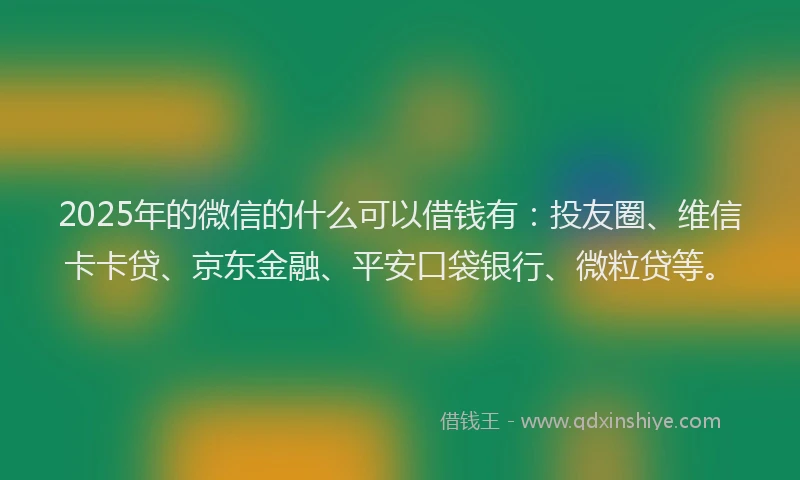 2025年的微信的什么可以借钱有：投友圈、维信卡卡贷、京东金融、平安口袋银行、微粒贷等。