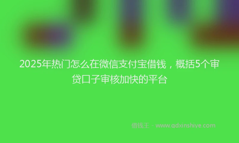 2025年热门怎么在微信支付宝借钱，概括5个审贷口子审核加快的平台