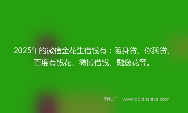 2025年的微信金花生借钱有：随身贷、你我贷、百度有钱花、微博借钱、融逸花等。