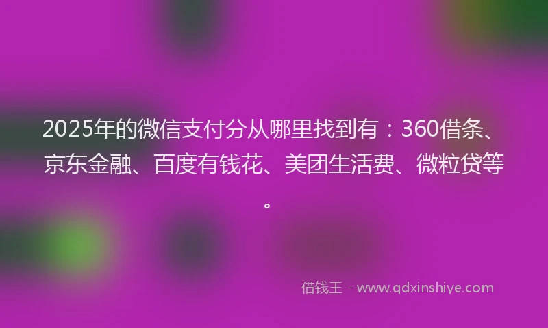 2025年的微信支付分从哪里找到有：360借条、京东金融、百度有钱花、美团生活费、微粒贷等。