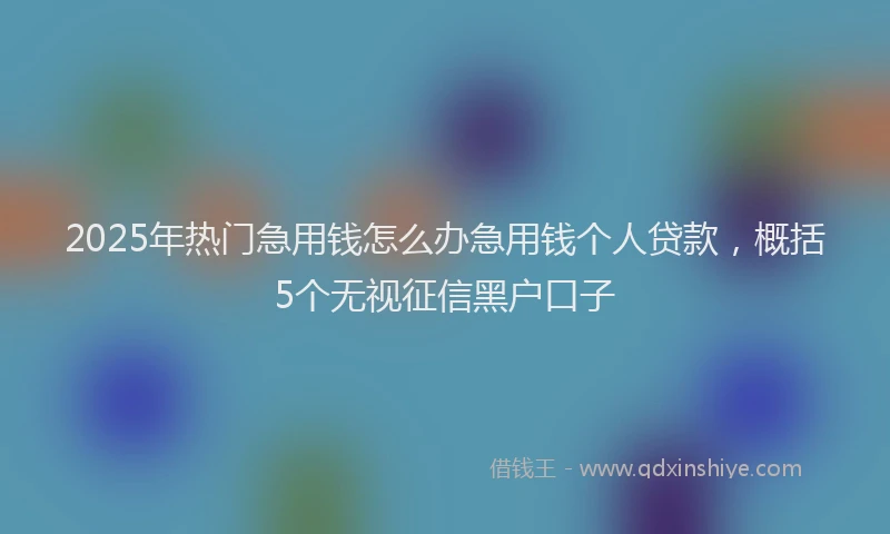 2025年热门急用钱怎么办急用钱个人贷款，概括5个无视征信黑户口子