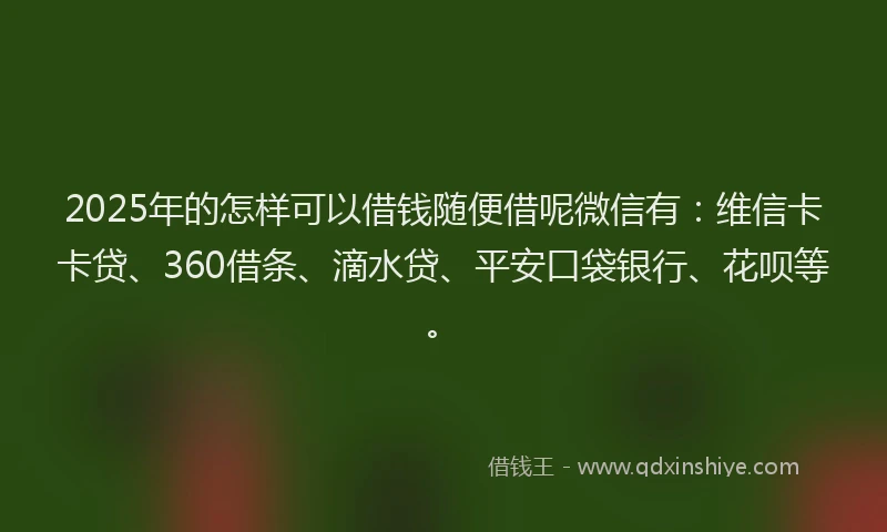 2025年的怎样可以借钱随便借呢微信有：维信卡卡贷、360借条、滴水贷、平安口袋银行、花呗等。