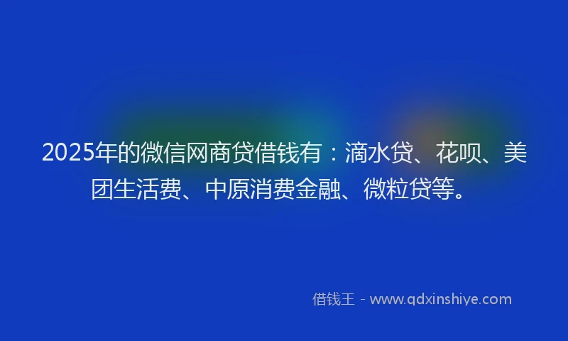 2025年的微信网商贷借钱有：滴水贷、花呗、美团生活费、中原消费金融、微粒贷等。
