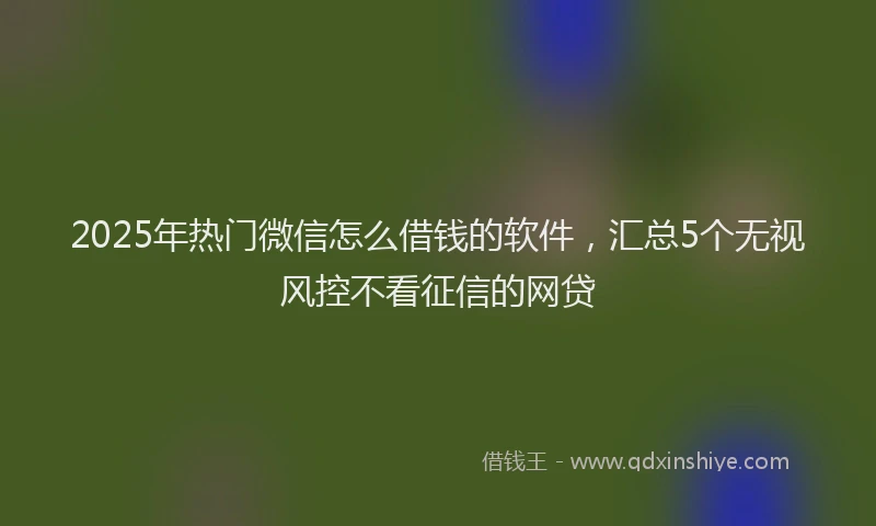 2025年热门微信怎么借钱的软件，汇总5个无视风控不看征信的网贷