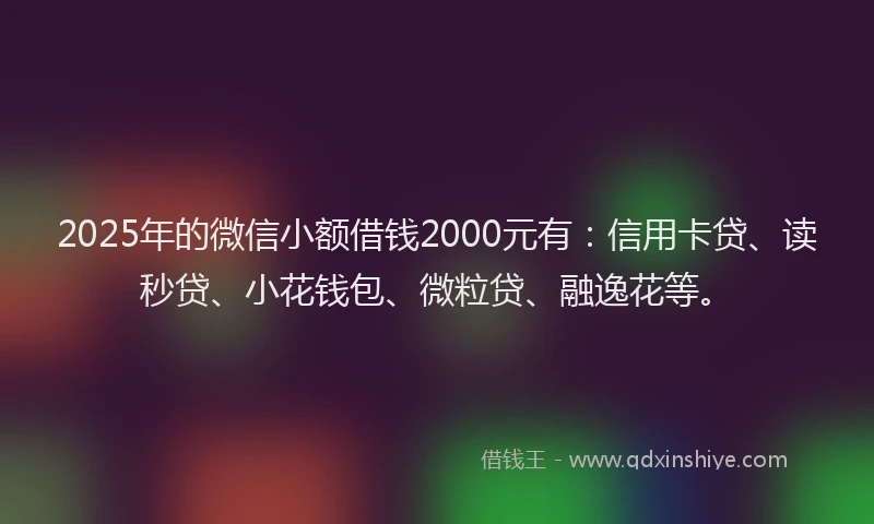 2025年的微信小额借钱2000元有：信用卡贷、读秒贷、小花钱包、微粒贷、融逸花等。