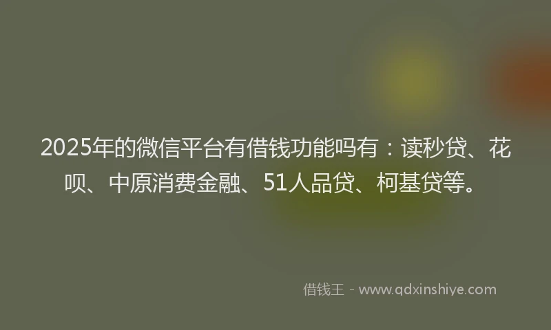 2025年的微信平台有借钱功能吗有：读秒贷、花呗、中原消费金融、51人品贷、柯基贷等。