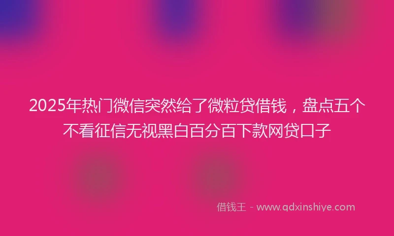 2025年热门微信突然给了微粒贷借钱，盘点五个不看征信无视黑白百分百下款网贷口子