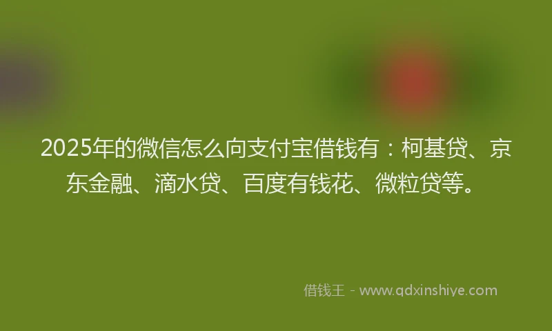 2025年的微信怎么向支付宝借钱有：柯基贷、京东金融、滴水贷、百度有钱花、微粒贷等。