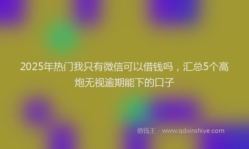 2025年热门我只有微信可以借钱吗，汇总5个高炮无视逾期能下的口子