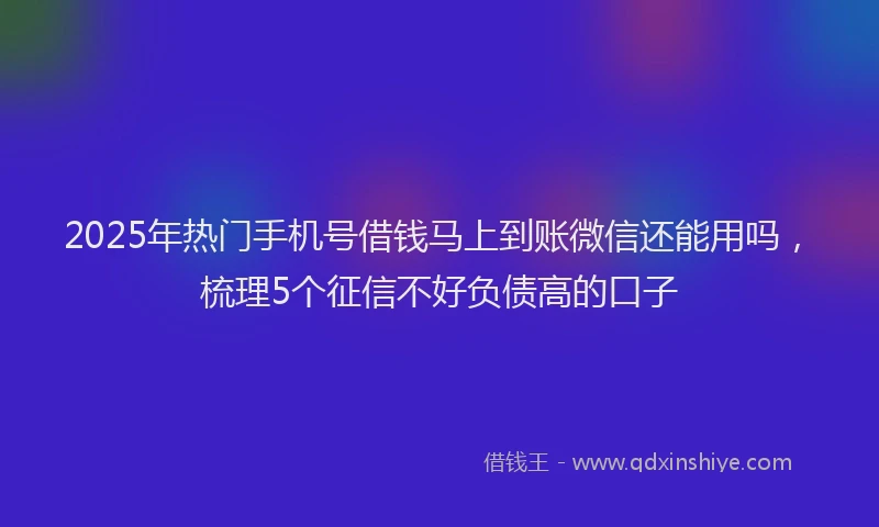 2025年热门手机号借钱马上到账微信还能用吗，梳理5个征信不好负债高的口子