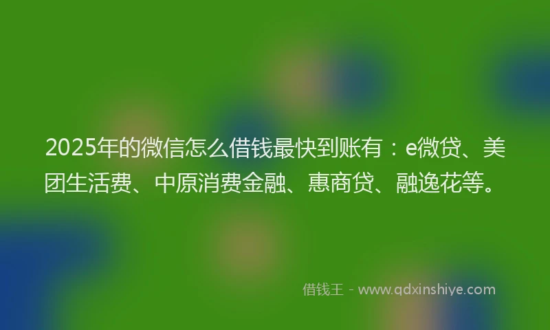 2025年的微信怎么借钱最快到账有：e微贷、美团生活费、中原消费金融、惠商贷、融逸花等。