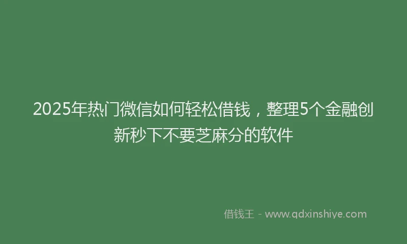 2025年热门微信如何轻松借钱，整理5个金融创新秒下不要芝麻分的软件