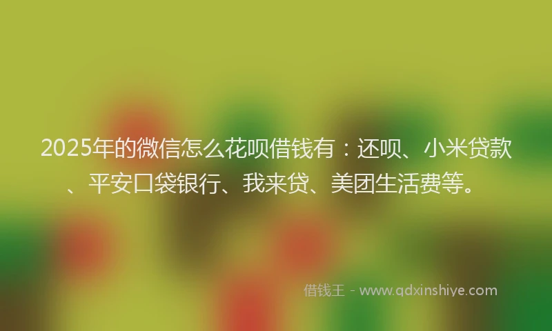 2025年的微信怎么花呗借钱有：还呗、小米贷款、平安口袋银行、我来贷、美团生活费等。