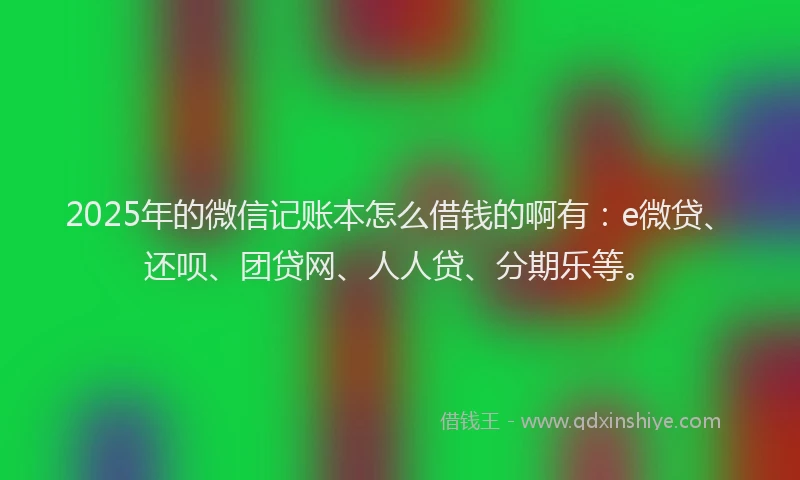 2025年的微信记账本怎么借钱的啊有：e微贷、还呗、团贷网、人人贷、分期乐等。
