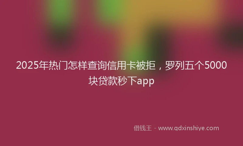 2025年热门怎样查询信用卡被拒，罗列五个5000块贷款秒下app