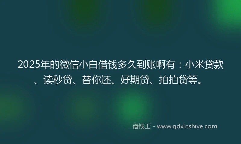 2025年的微信小白借钱多久到账啊有：小米贷款、读秒贷、替你还、好期贷、拍拍贷等。