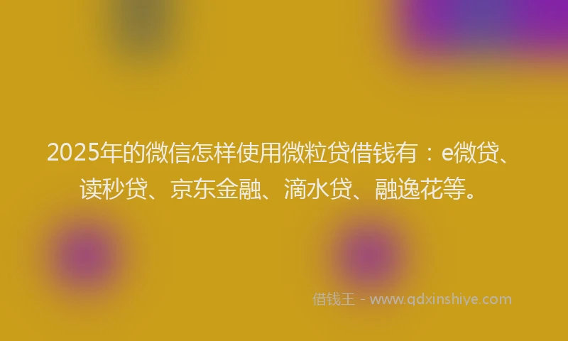2025年的微信怎样使用微粒贷借钱有：e微贷、读秒贷、京东金融、滴水贷、融逸花等。